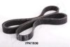 ASHIKA 112-7PK1930 V-Ribbed Belts